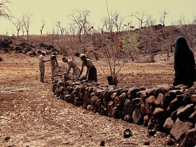 Canossiane_Bacini_Liuba